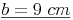 \underline{b = 9\ cm}