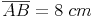 \overline{AB} = 8\ cm