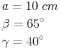 \begin{align} & a = 10\ cm \\ & \beta = 65^\circ \\ & \gamma = 40^\circ \\ \end{align}