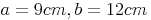 a = 9cm , b = 12 cm