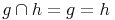g \cap h = g = h g \cap h = g = h